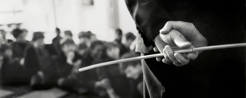 Legs are tied to the cart