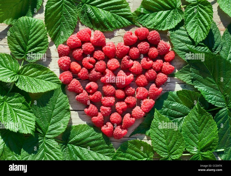 Raspberry in the form of a heart