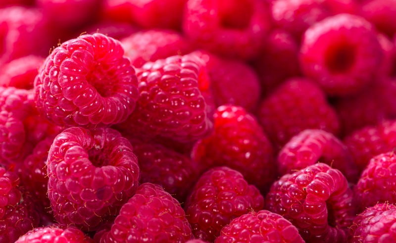 Pink berries