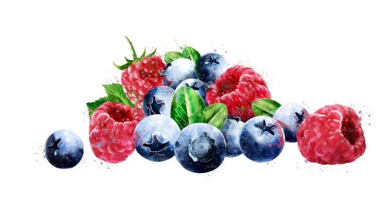 Watercolor berries on a white background