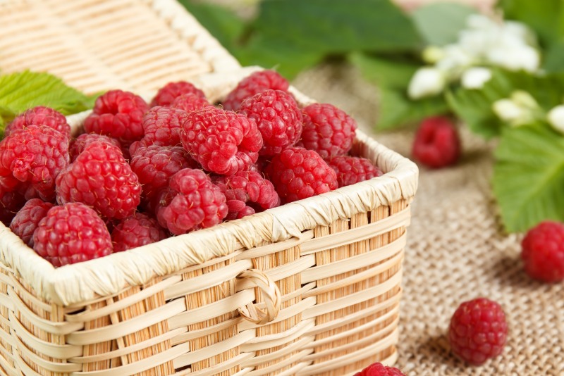 The fruit of raspberries