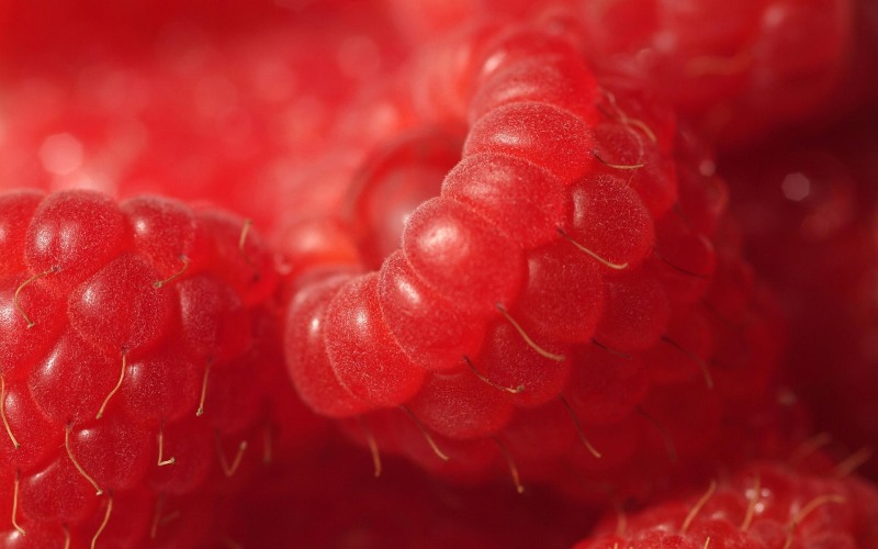 Macro shooting fruits