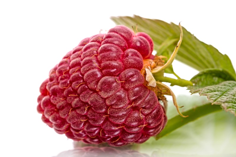 Raspberry 1 berry