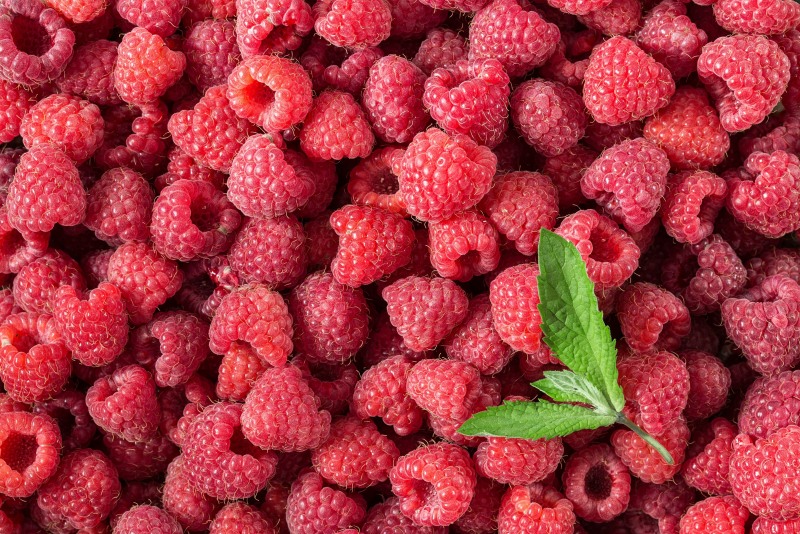 Pink raspberries