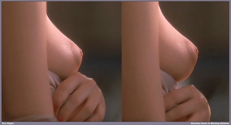 Sherilin Fenn shameless naked