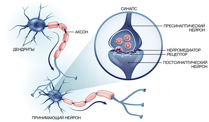 Funny poem about Nadia