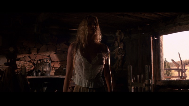 Sharon Stone under the mask of the gigolo