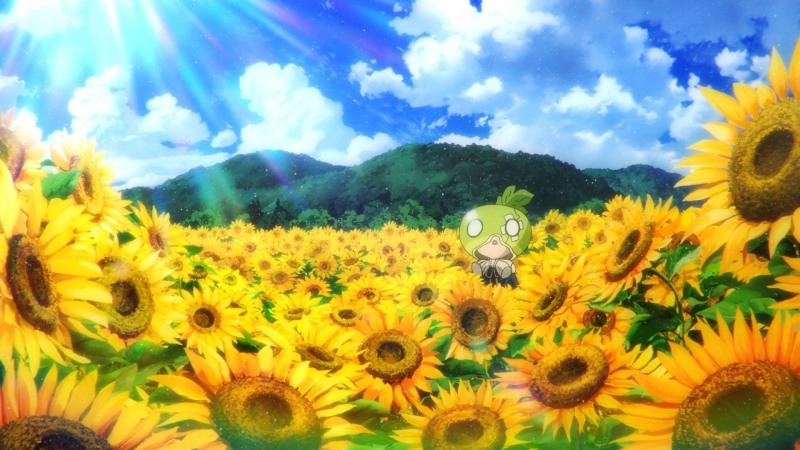 Gaps between the legs of TV presenters and stars