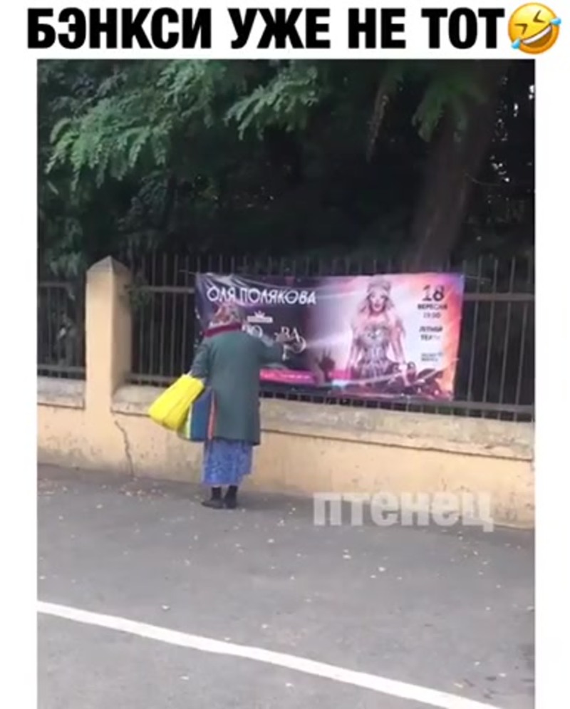 Queen of the Night Olya Polyakova Text