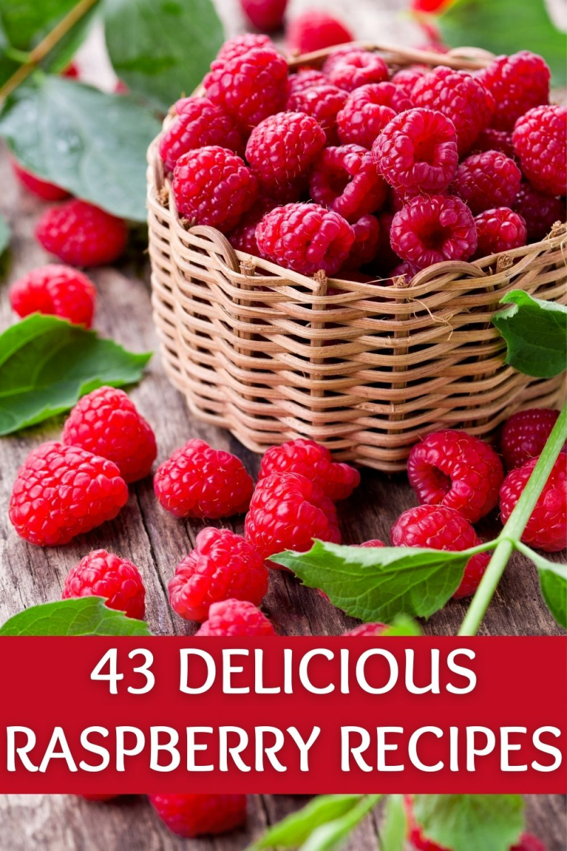 The girl is on snowboarding