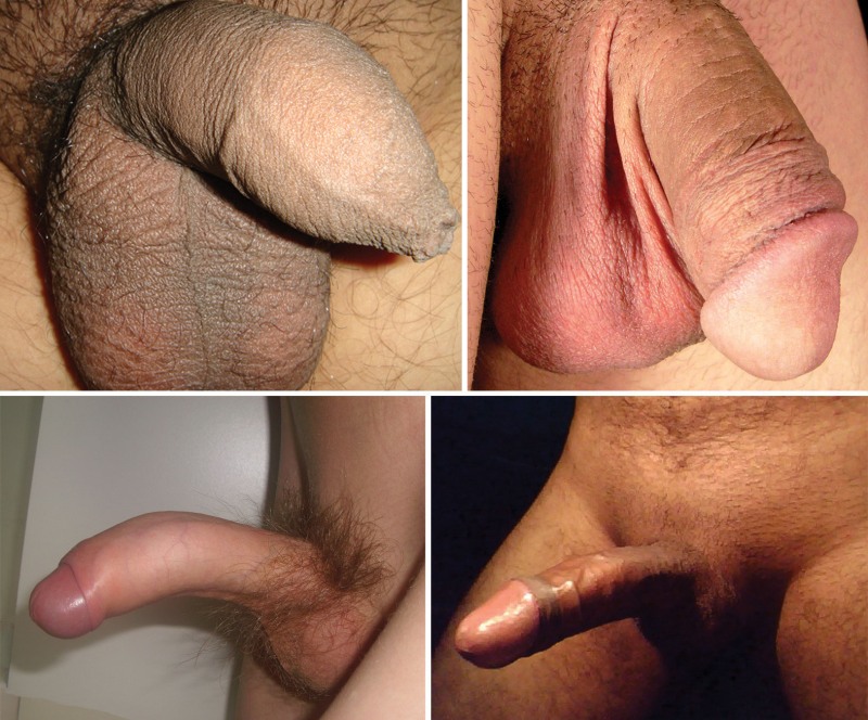 Member in hairy pussy large