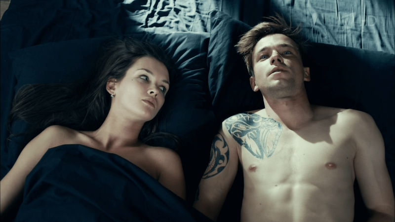 Alexander Petrov in the series method