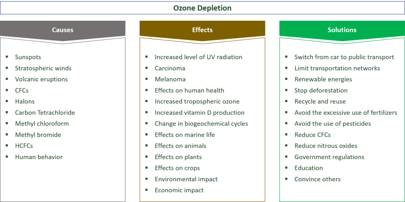 The World Most Viewed Categories 2021