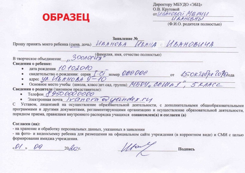 Girls when you brag about your achievements, put on my underpants