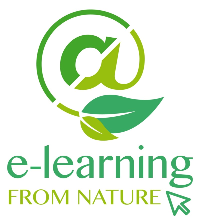 The most beautiful nudists