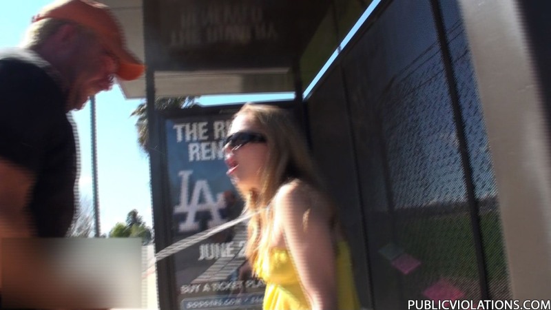 Fucking in public transport