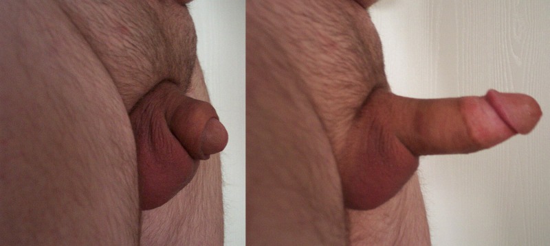 Huge cock close -up