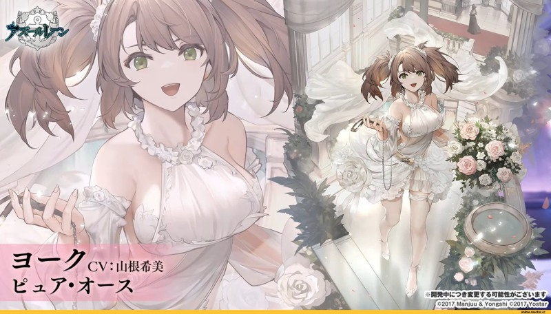 PV charge controller LS1024RP