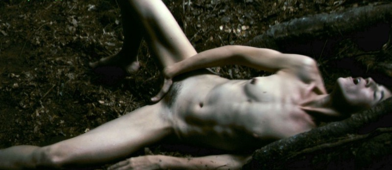 Antichrist Film 2009