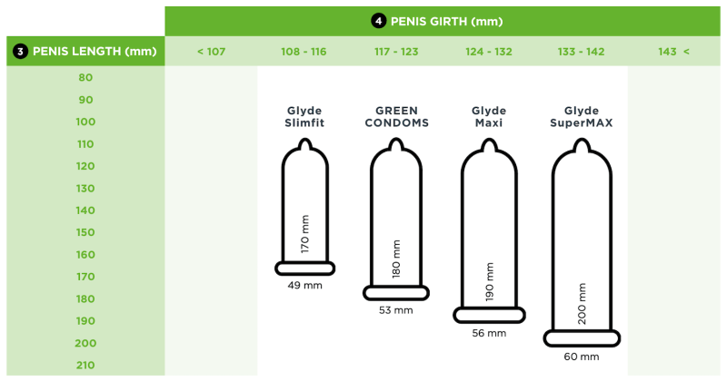 Various forms of penis