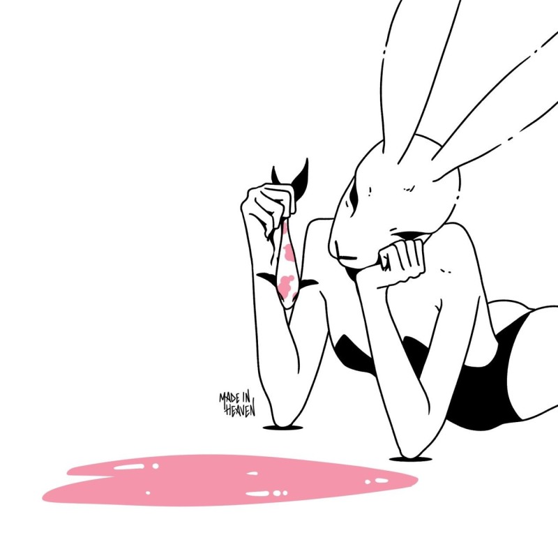 Letters to the chess players Medusa