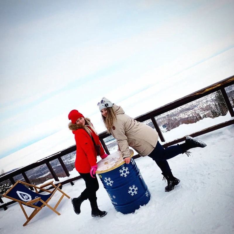 Description of the glands of internal secretion table