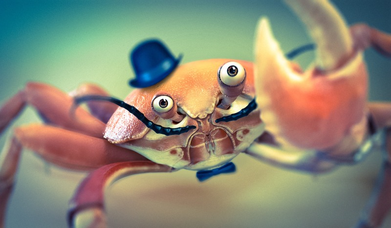 Eyeering crab