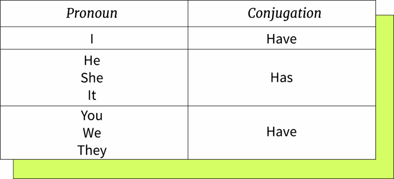 Summary of the developer