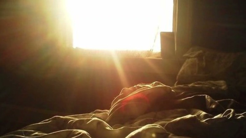 Cype of substances and energy in the biosphere Scheme