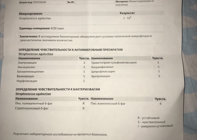 The girl mastered the guy