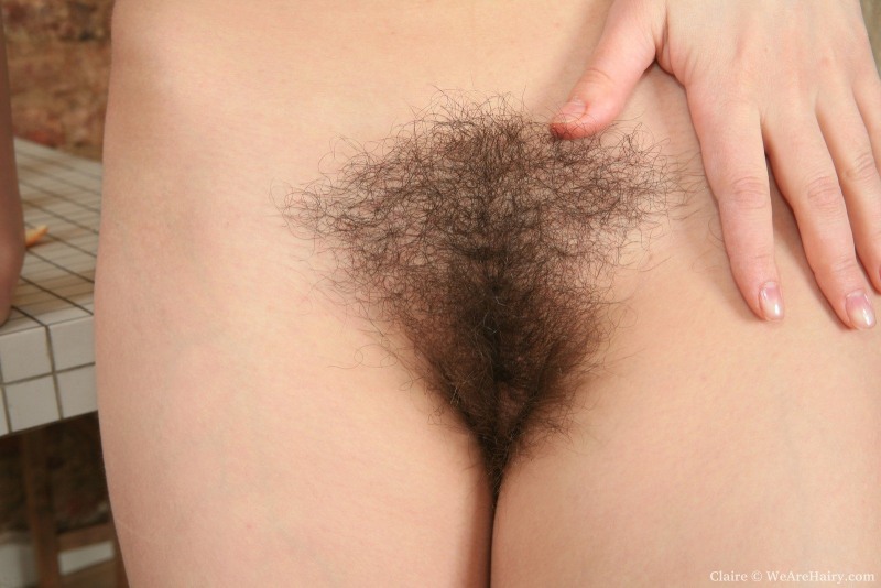 Beautiful hairy female pubis